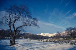 The Lake District
